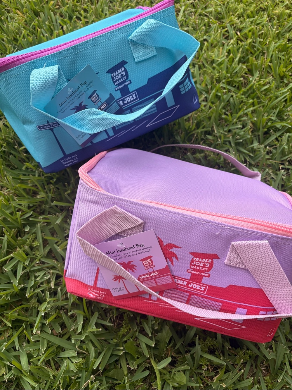 2x Trader Joe's Mini Insulated Bags - blue and purple  ( 2 per order )